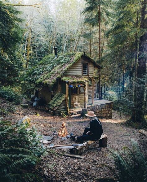 Experience the Enchantment of a Secret Hideaway: A Magical Cottage in the Woods
